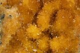 Intense Orange Calcite Crystal Cluster - Poland #302237-1